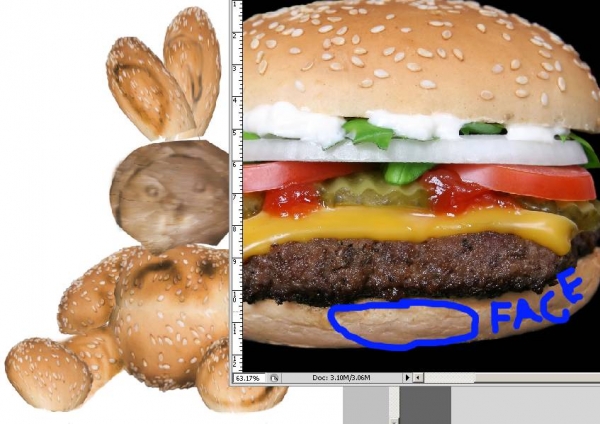 Creation of Burger-Bear: Step 3