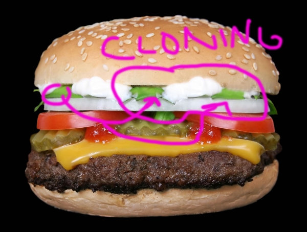 Creation of Angry Burger!: Step 2