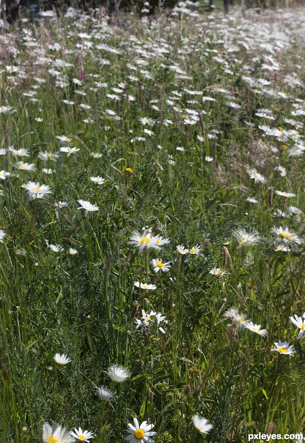 Blowing in the wind