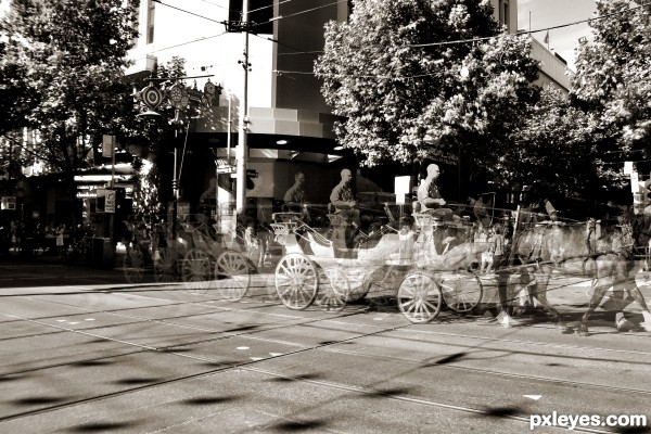 Cart Ride in the City