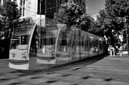 Tram Trails