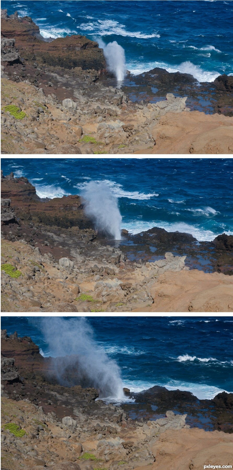 The Blowhole