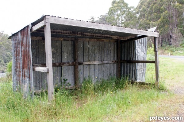 Country School bus shelter