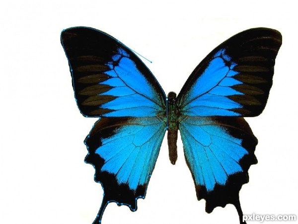 Creation of Teach me to fly!: Step 1