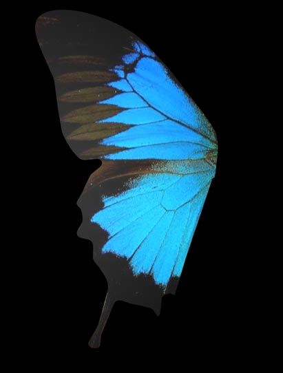 Creation of Teach me to fly!: Step 4