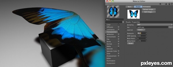 Creation of Teach me to fly!: Step 5