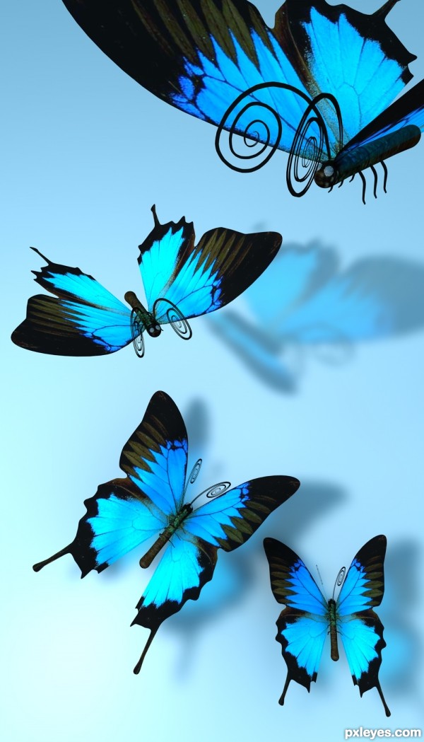 Creation of Teach me to fly!: Step 8