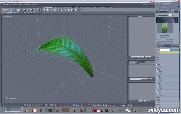 Creation of Black Butterfly: Step 6