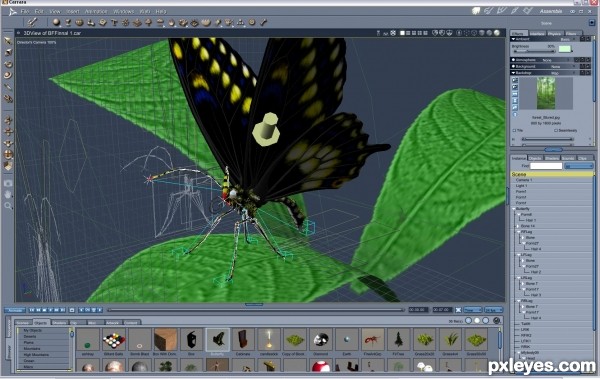 Creation of Black Butterfly: Step 7
