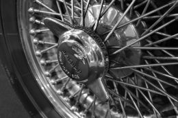 Jaguar wire wheel