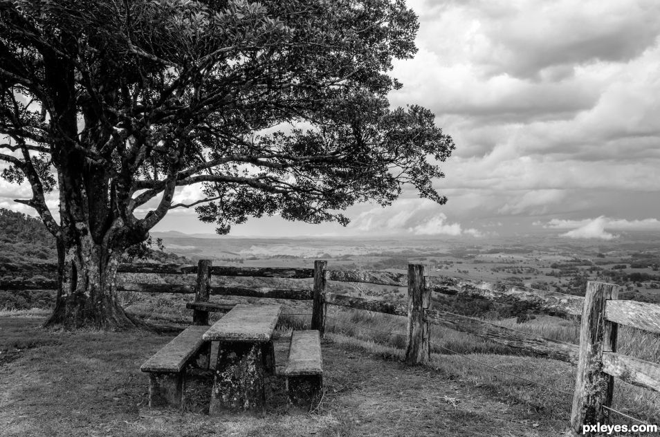 The Lookout