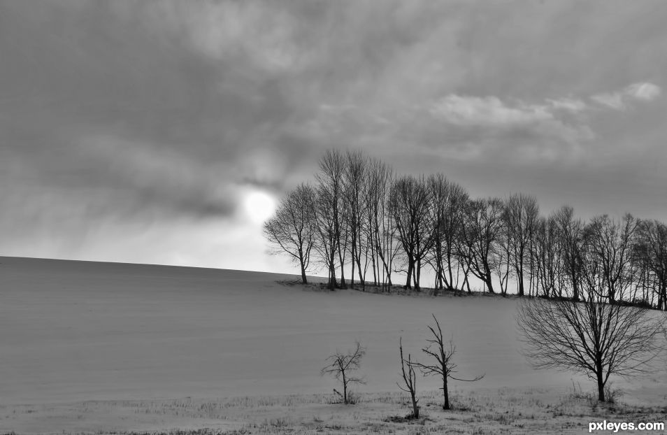 Grey, Winter Afternoon