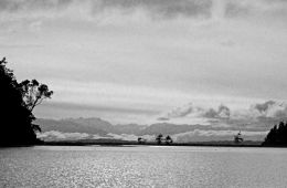 Rowing in the bay