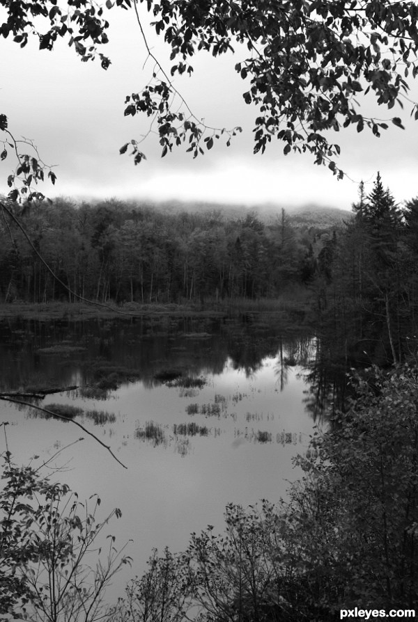 Adirondack Pond