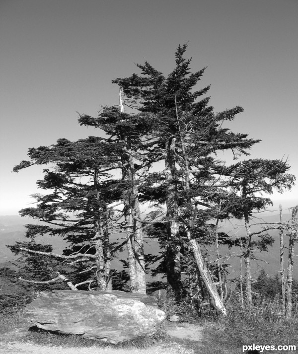 On the Blue Ridge Parkway