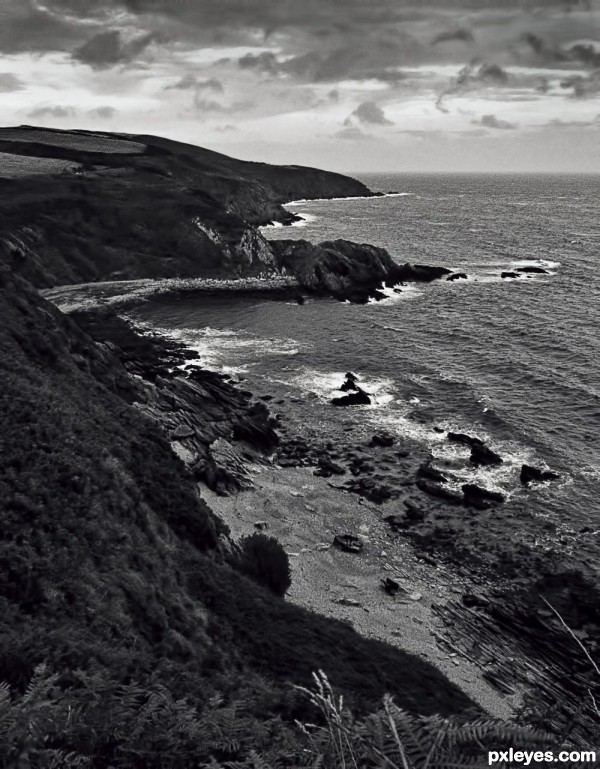 Rocky Shores