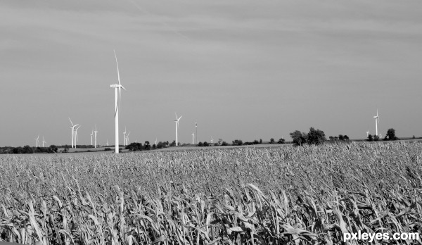 Wind Farming