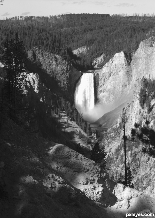 Yellowstone Falls