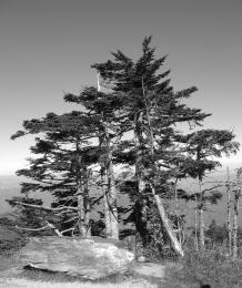 OntheBlueRidgeParkway