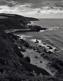 Rocky Shores