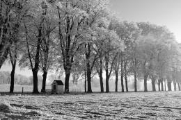 Wintertime