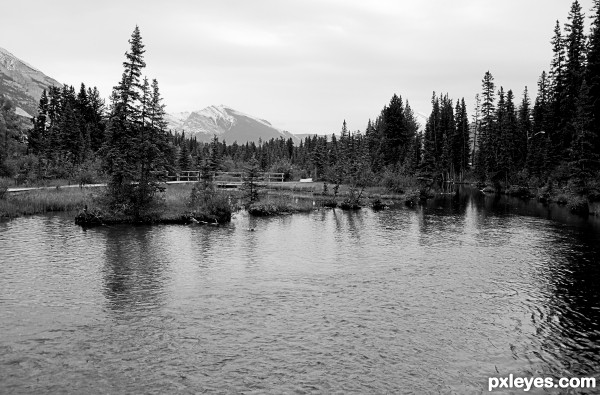 At the pond