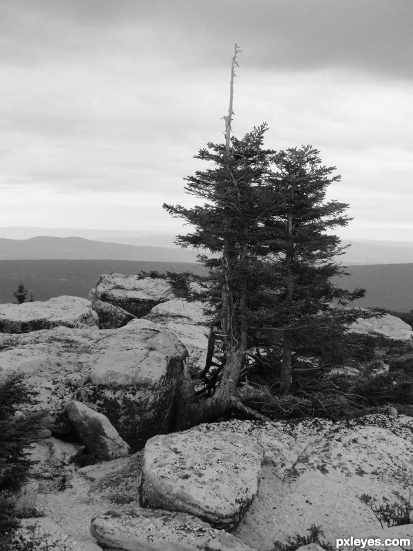 Creation of Dolly Sods: Final Result