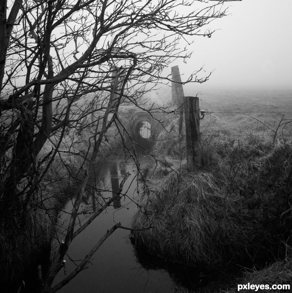 Misty Creek