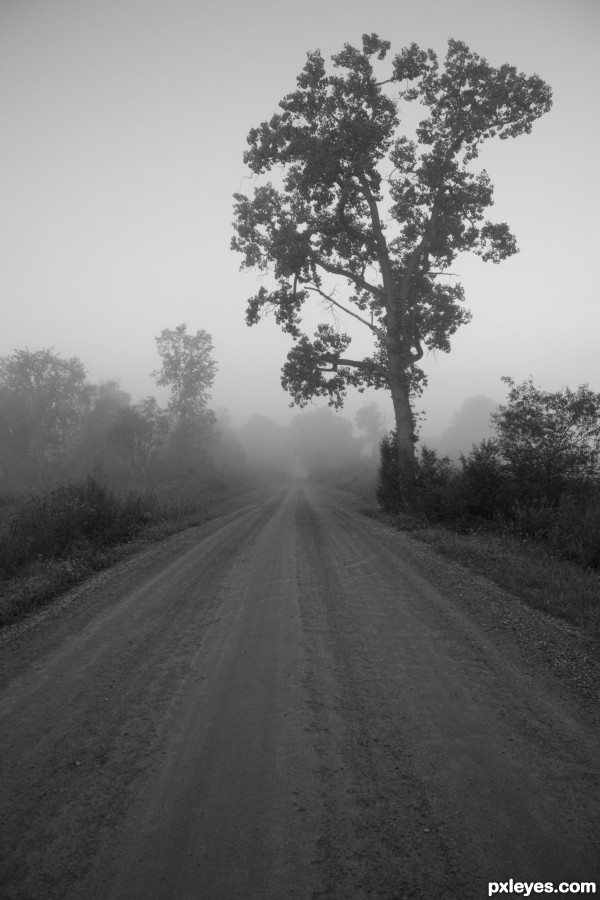 Misty morning drive