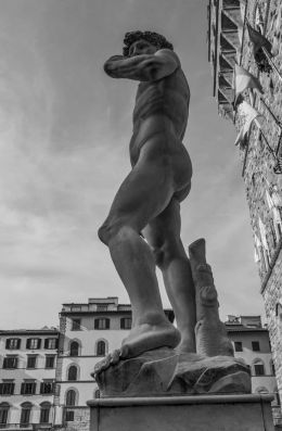 David