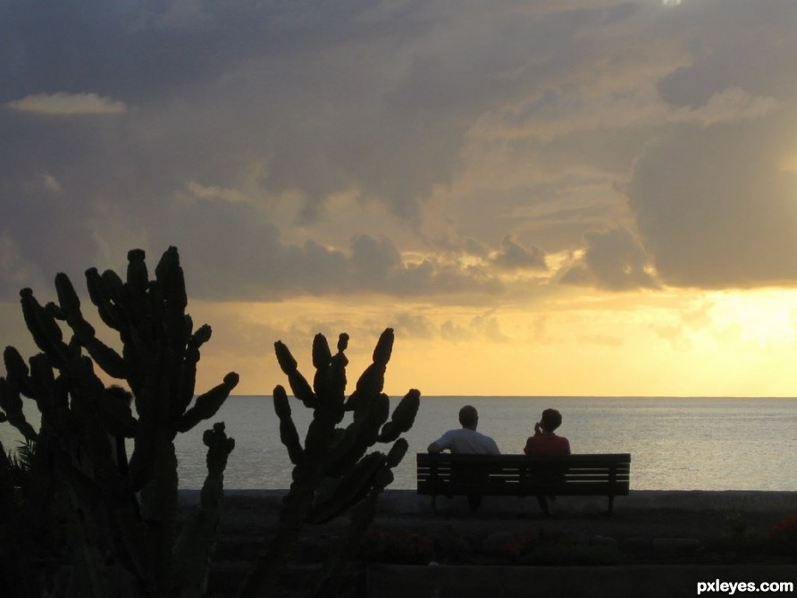 Kaktus Beitrag von La Gomera