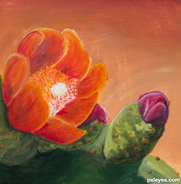 Cactus flower