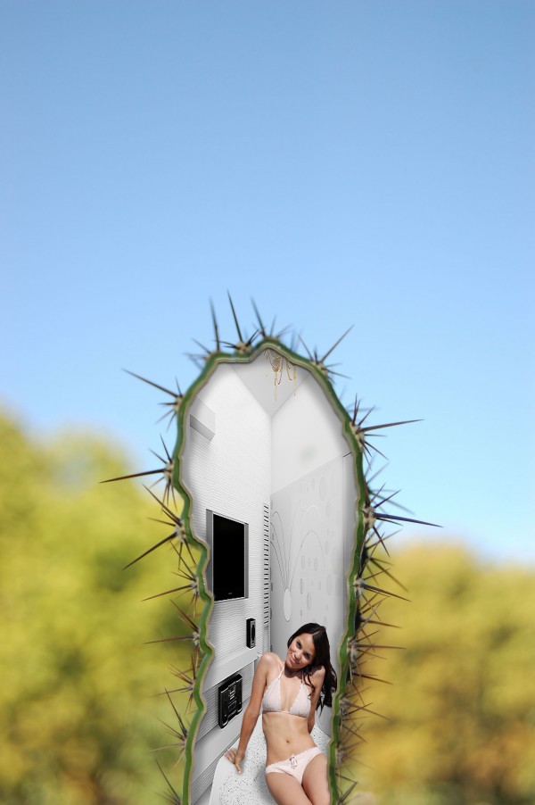 Creation of The truth about Cacti: Final Result