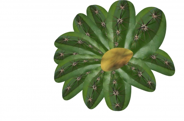 Creation of Butterflies: Step 3