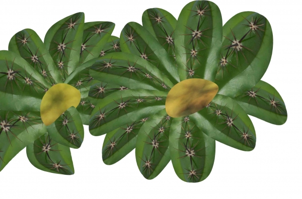 Creation of Butterflies: Step 5