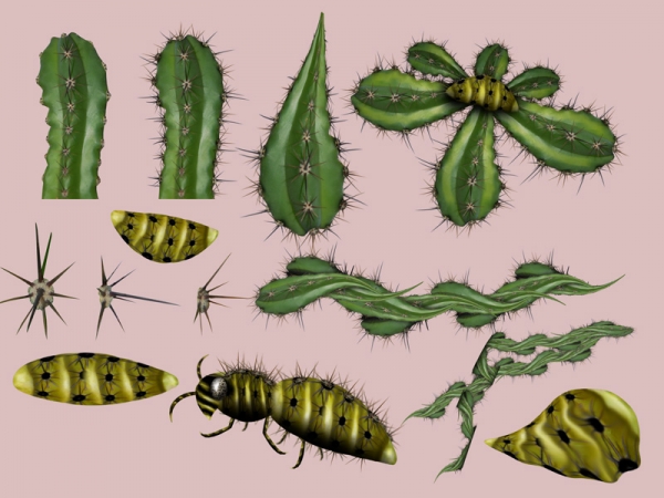 Creation of Cactus Flower: Step 1