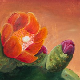 Cactus flower