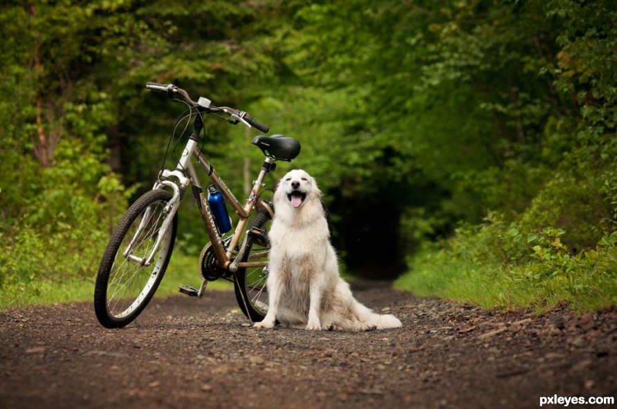 Going for a bike ride ...