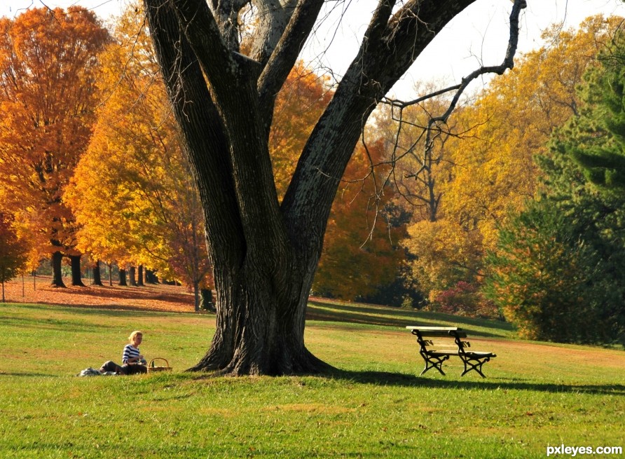 Find a Quiet Place Outdoors