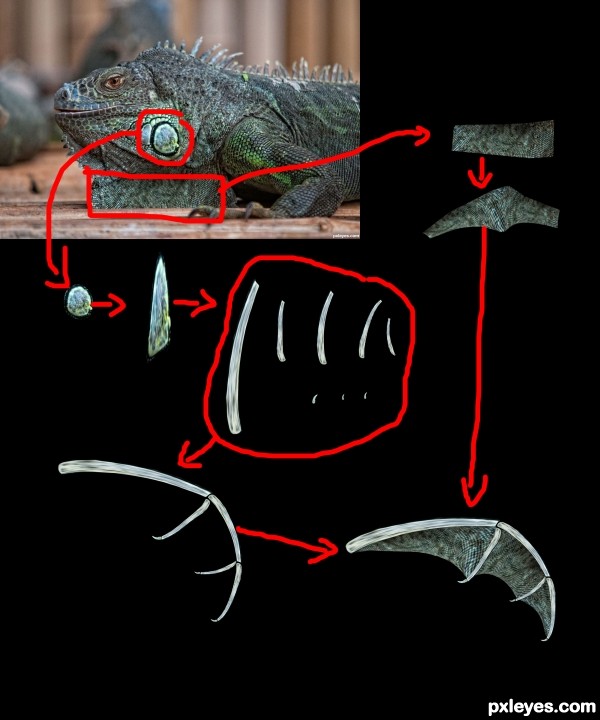 Creation of Colors: Step 5