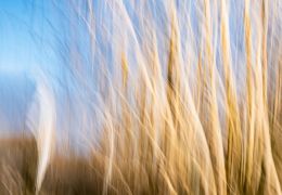 Hey, windy hay!!!