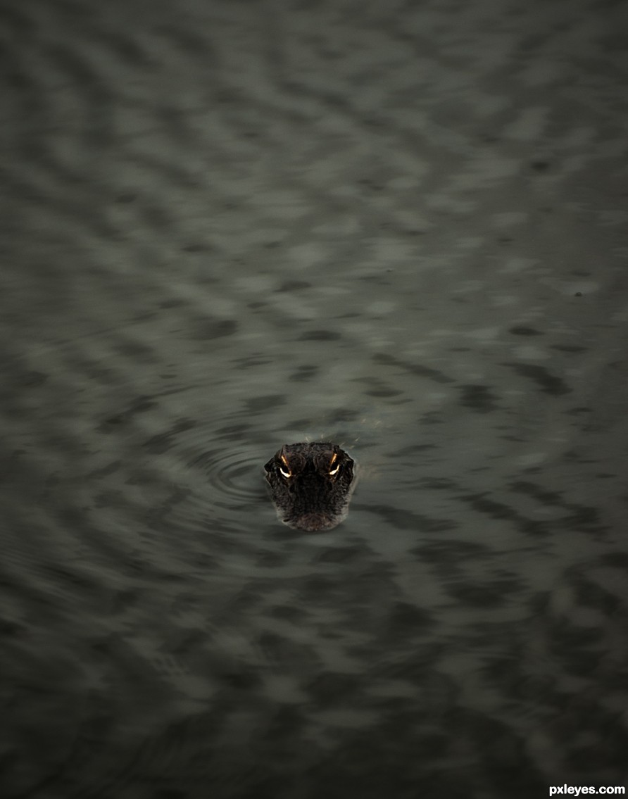 Camouflage of night