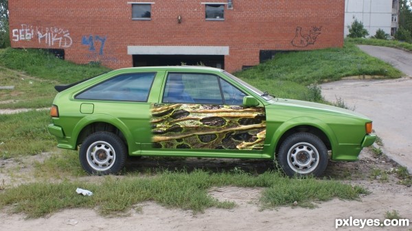 Creation of scirocco frog: Step 2