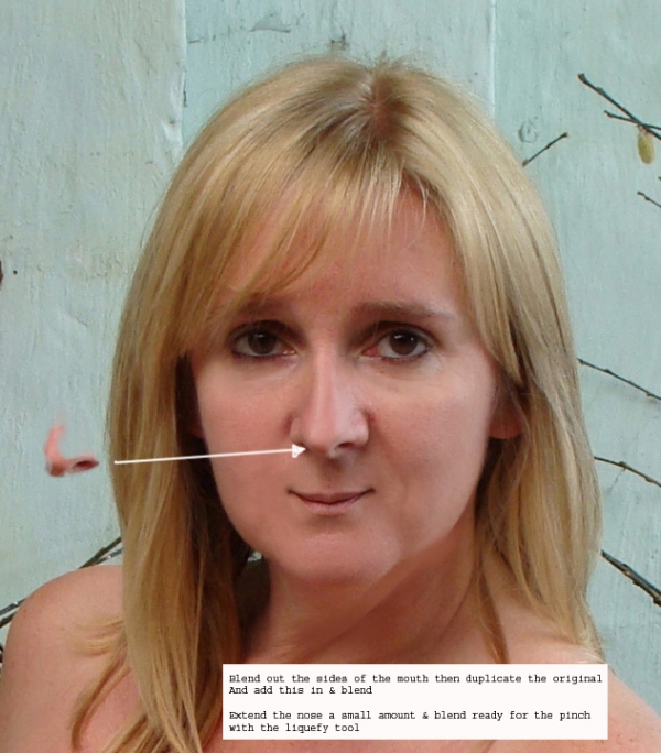 Creation of Nip & Tuckâ€¦ : Step 2