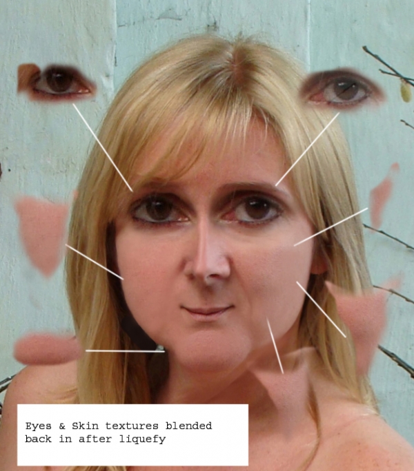 Creation of Nip & Tuckâ€¦ : Step 4