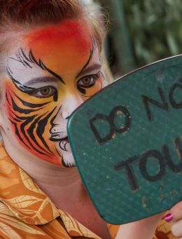 face painting
