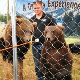 LionsTigersandBears