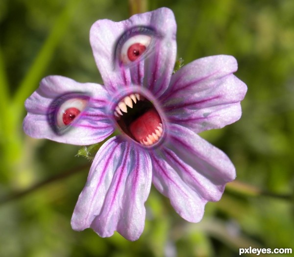 Scary flower