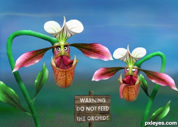 orcish orchid