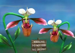 orcish orchid Picture